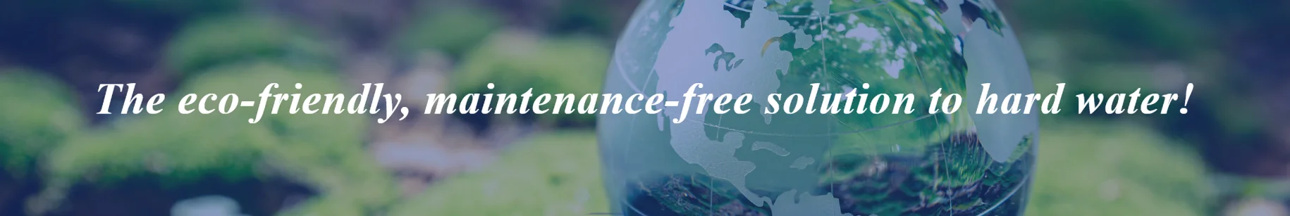 Screenshot 2024-03-13 023423 (1)